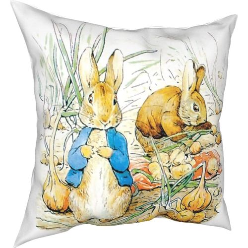Oreillers Peter Rabbit Four Seasons, Oreillers Confortables, Doux Et Doux Pour La Peau, Adaptés Aux Voitures Canapé-Lit-Petter6-24x24inch