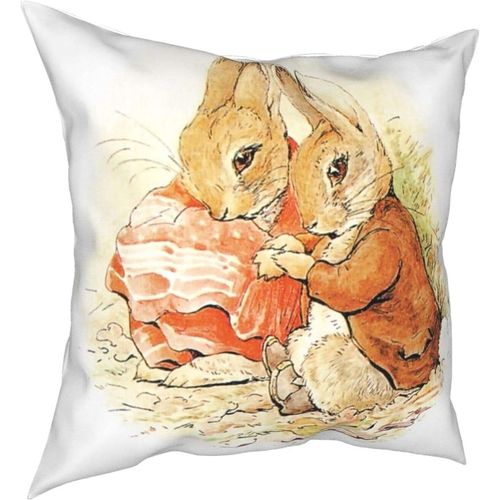 Oreillers Peter Rabbit Four Seasons, Oreillers Confortables, Doux Et Doux Pour La Peau, Adaptés Aux Voitures Canapé-Lit-Petter27-16x16inch