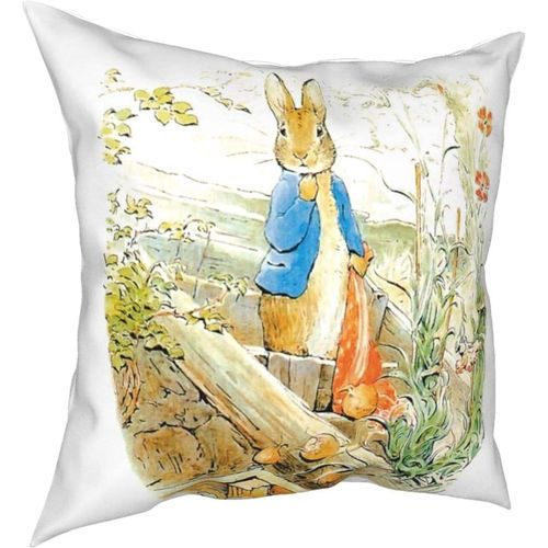 Oreillers Peter Rabbit Four Seasons, Oreillers Confortables, Doux Et Doux Pour La Peau, Adaptés Aux Voitures-Lits-Petter11-20x20inch