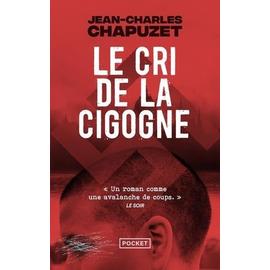  Hubert Félix Thiéfaine : Entre 3 grammes et 5 heures du matin -  Chapuzet, Jean-Charles - Livres