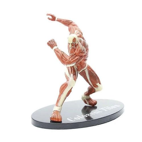 Figura De Anime Rival Ackerman Titan De 30 Cm Figura De Acción Eren Jaeger Shingeki No Kyojin Figura De Ataque Centinela