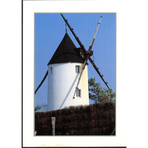 Carte Postale En Vendée, Un Moulin, 1993