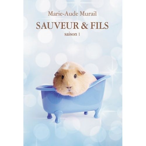 Sauveur & Fils - Saison 1