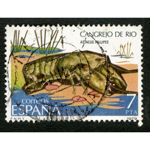 Timbre Oblitéré Espana, Cangrejo De Rijo, Astacus Pallipes, 7 Pta, 1979, Correos