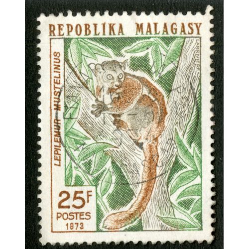 Timbre Oblitéré Repoblika Malagasy, Lepilemur Mustelinus, 25 F, Postes 1973