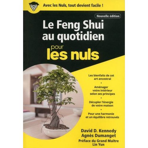 Le Feng Shui Au Quotidien Pour Les Nuls