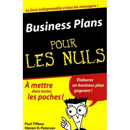 Business Plans Pour Les Nuls