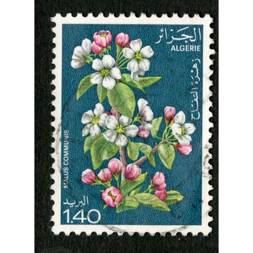 Timbre Oblitéré Algérie, Malus Communis, 1.40