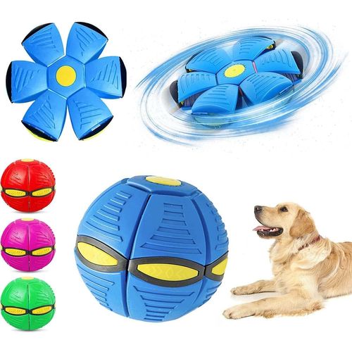 Jouet Pour Animaux De Compagnie Boule Frisbee, Balle Volante Pour Chiens, Jouet De Balle De Soucoupe Volante Pour Chiens, Balle Volante, Jouet Pour Animaux De Compagnie, Jouet Pour Animaux De