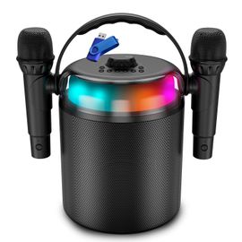 Enceinte Autonome Ledwood PLAYKARAOKE 120W, LED, Bluetooth USB, 2 Micros ss fil, Effets Vocaux +Clé 32G