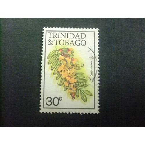 51 Trinidad, Tobago 1983 / Flores Fleurs Cassia Moschata / Yvert 488 Fu