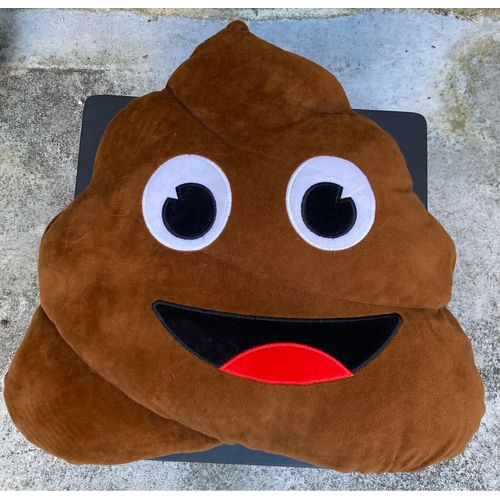 Coussin En Forme D’Excréments