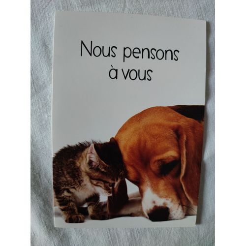 Carte Évènement, Chien Avec Chat