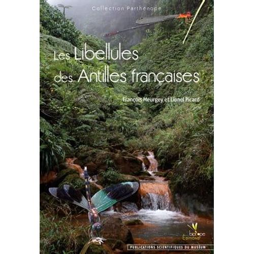 Les Libellules Des Antilles Françaises