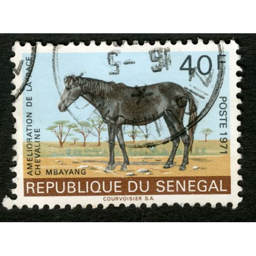 Timbre Oblitéré République Du Sénégal, Postes 1971, Amélioration De La Race Chevaline, Mbayang, 40 F