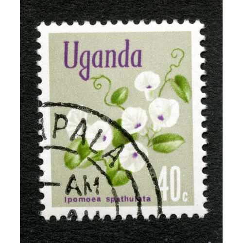 Timbre Oblitéré Uganda, Ipomoea Spathulata, 40 C