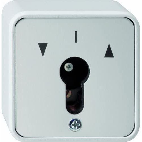 Gira Module d'interrupteur à clé, Bouton + interrupteur, Gris