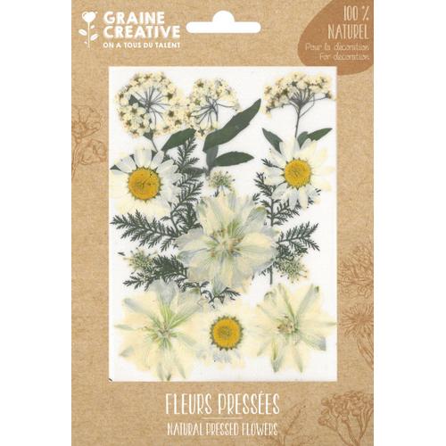 Fleurs Pressées Prairie Blanc 15 Pièces