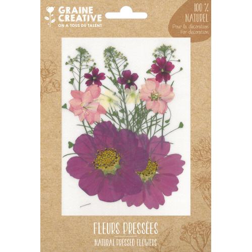 Fleurs Pressées Prairie Parme 14 Pièces