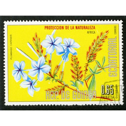 Timbre Oblitéré Rep De Guinea Ecuatorial, Proteccion De La Naturaleza Africa, Plumbago Capensis, 0.65 Peseta