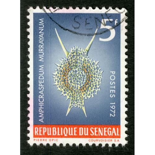 Timbre Oblitéré République Du Sénégal, Amphicraspedum Murrayanum, Postes 1972, 5 F