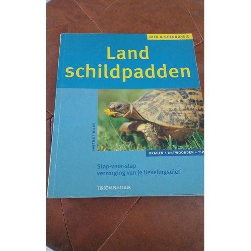 Land Schildpadden Livre Tortue