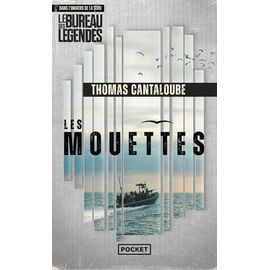 Les Mouettes - Mission Sahel