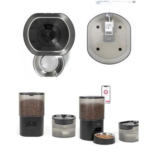 Distributeur De Croquettes Automatique Et Fontaine À Eau Pour Chat Et Chien