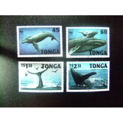 51 Tonga 1996 / Wwf Faune Baleine Whales / Yvert1040 / 1043 Mnh Stanley 1337 / 1340 Mnh