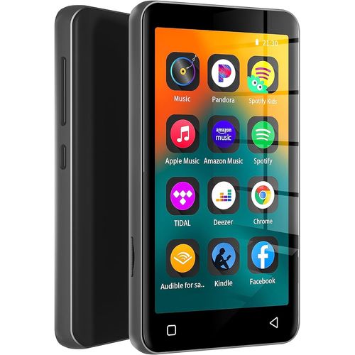 Lecteur MP3 de 4 pouce 80 Go avec Bluetooth et WiFi gris
