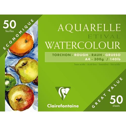 Asas-96465c-Un Étui Carton De Papier Dessin Etival Grain Torchon 50 Feuilles 21x29,7cm 300g,Blanc