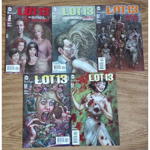 Lot 13