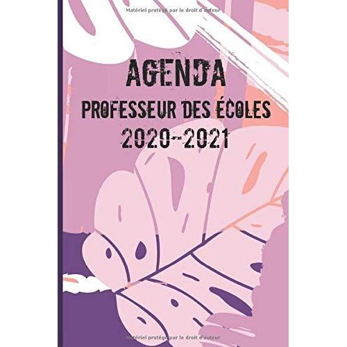 Agenda De Professeur Des Écoles 2020 2021: Carnet De Bord Enseignant 2020 2021 | Planner De Août 2020 À Août 2021