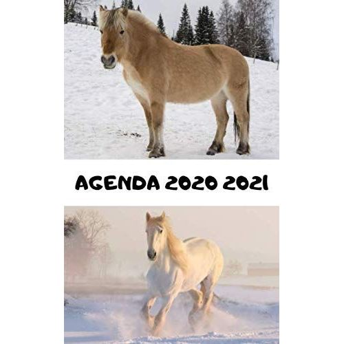 Agenda Etudiant Rentrée Septembre 2020 / Chevaux: Répertoire, Suivi Des Notes, 2 Emplois De Temps, Vacances Scolaires Par Zone