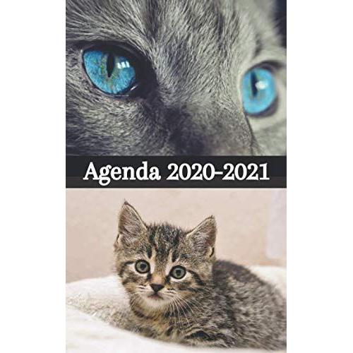 Agenda Ecole - Rentrée Septembre 2020 / Chatons Et Chats: 1 Page Complète Par Jour Scolaire