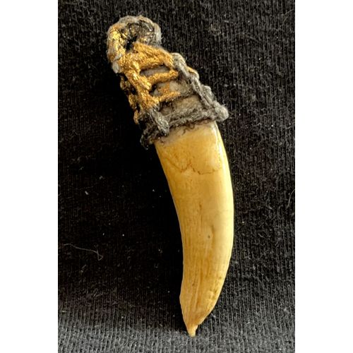 Talisman Croc Dent Os Sacré Pendentif Tresé Corde Amulette Origine Thaïlande
