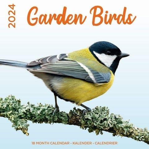 Calendrier Oiseaux du jardin 2024