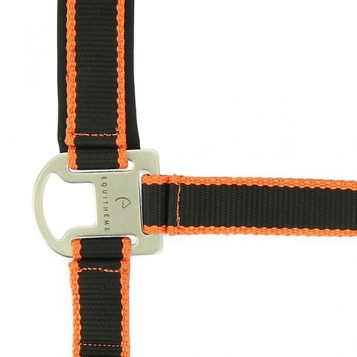 Licol + Longe Equithème "Satiné" - Couleur : Noir/Orange, Taille : Cheval, Équitation
