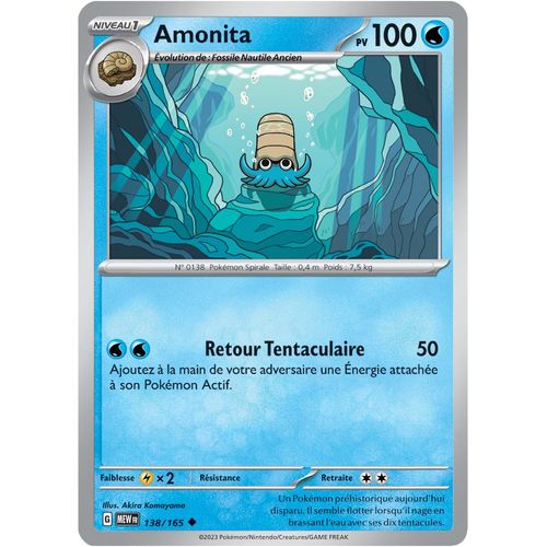 Amonita - 138/165 - 151