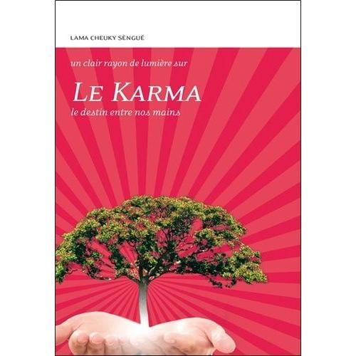 Le Karma - Le Destin Entre Nos Mains