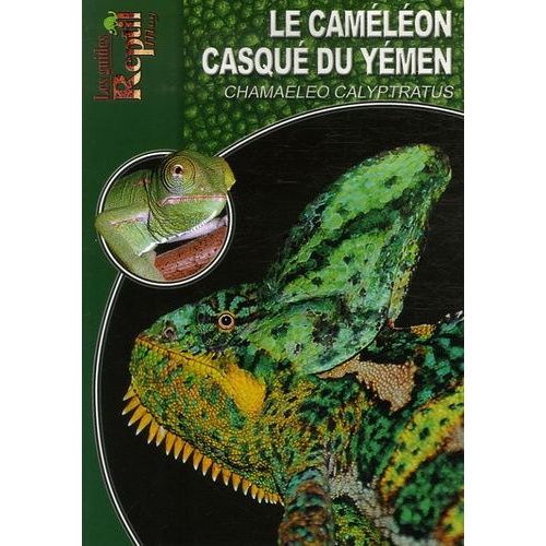 Le Caméléon Casqué Du Yémen - Chamaeleo Calyptratus