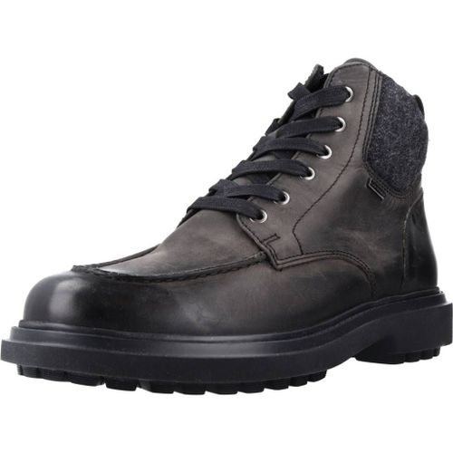 Geox U Faloria B Abx Colour Gris