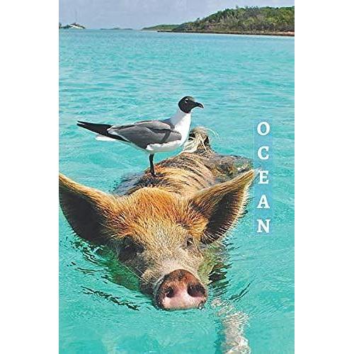 Ocean: 1/2 Picture 1/2 College Ruled White Interior Soft Cover 100 Pages 6x9 In