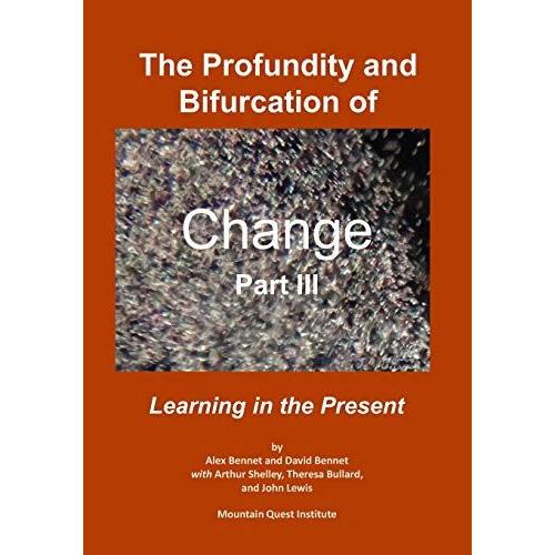 The Profundity And Bifurcation Of Change Part Iii: Learning In The Present
