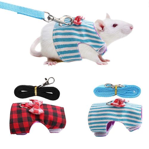 Petits Animaux Traction Corde Ceinture Poitrine Grille Rouge Rayures Bleues 2 Pièces