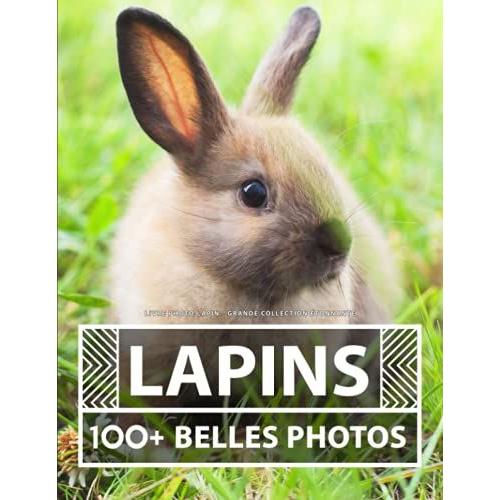 Livre Photo Lapins - Grande Collection Tonnante: 100 Belles Photos Dans Ce Livre Fantastique - Pour Enfants Et Adultes