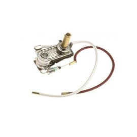 Thermostat de fer + fusible thermique pour PIECES ENTRETIEN DU LINGE PETIT ELECTROMENAGER POLTI - M0003471