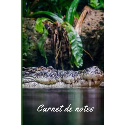 Carnet De Notes: Crocodile Cahier De Brouillon Petit Format Pas Cher 100 Pages Lign©Es Couverture Souple Pour Les Amoureux Des Animaux Ecole College ... Cadeau Anniversaire Original Femme Homme