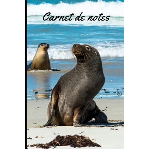 Carnet De Notes: Phoque Cahier De Brouillon Petit Format Pas Cher 100 Pages Lign©Es Couverture Souple Pour Les Amoureux Des Animaux Ecole College ... Cadeau Anniversaire Original Femme Homme