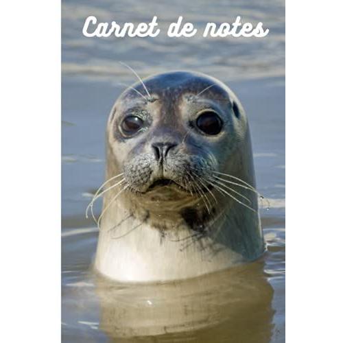 Carnet De Notes: Phoque Cahier De Brouillon Petit Format Pas Cher 100 Pages Lign©Es Couverture Souple Pour Les Amoureux Des Animaux Ecole College ... Cadeau Anniversaire Original Femme Homme